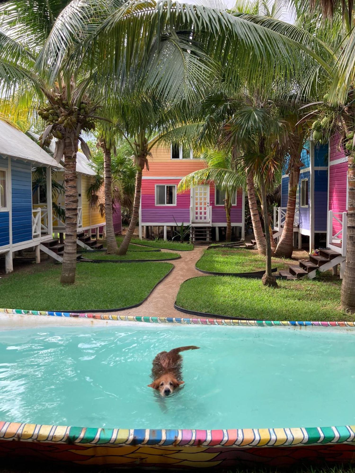 Whyknot Holbox Bed & Breakfast Luaran gambar