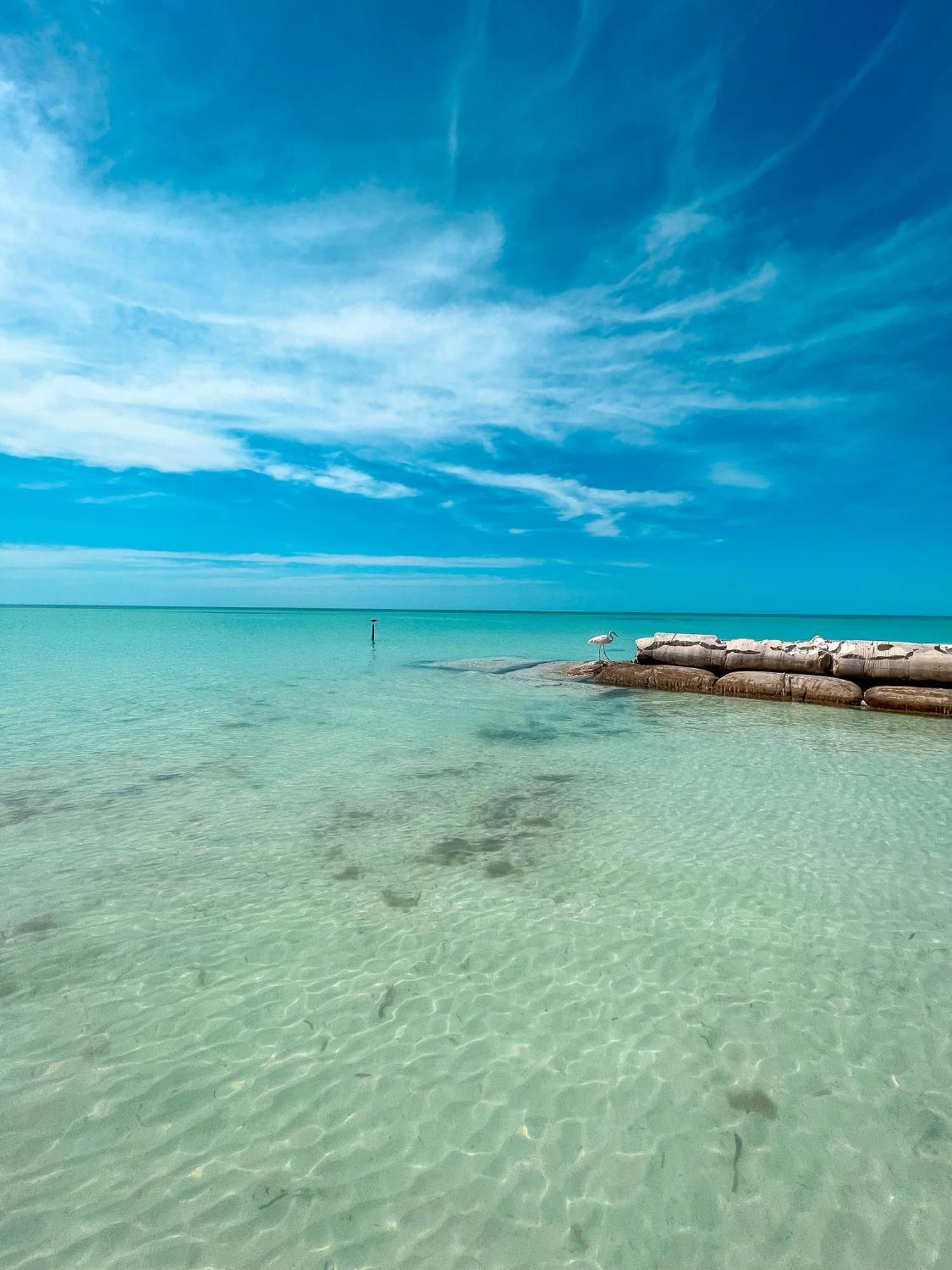 Whyknot Holbox Bed & Breakfast Luaran gambar